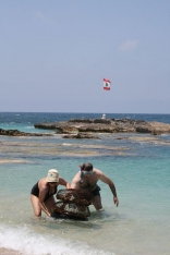 Catching Sea Urchins - Toutia